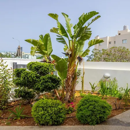 Villa Fig Tree Bay Residences 5 *